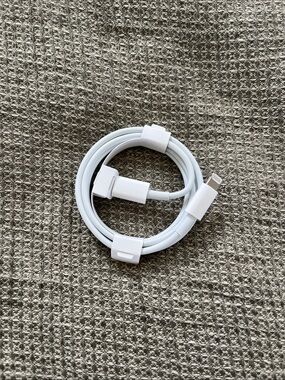 Apple Brand White Lightning to USB-C Charging Cable- NWT